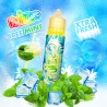 ICE MINT ELIQUID FRUIZEE 50ML